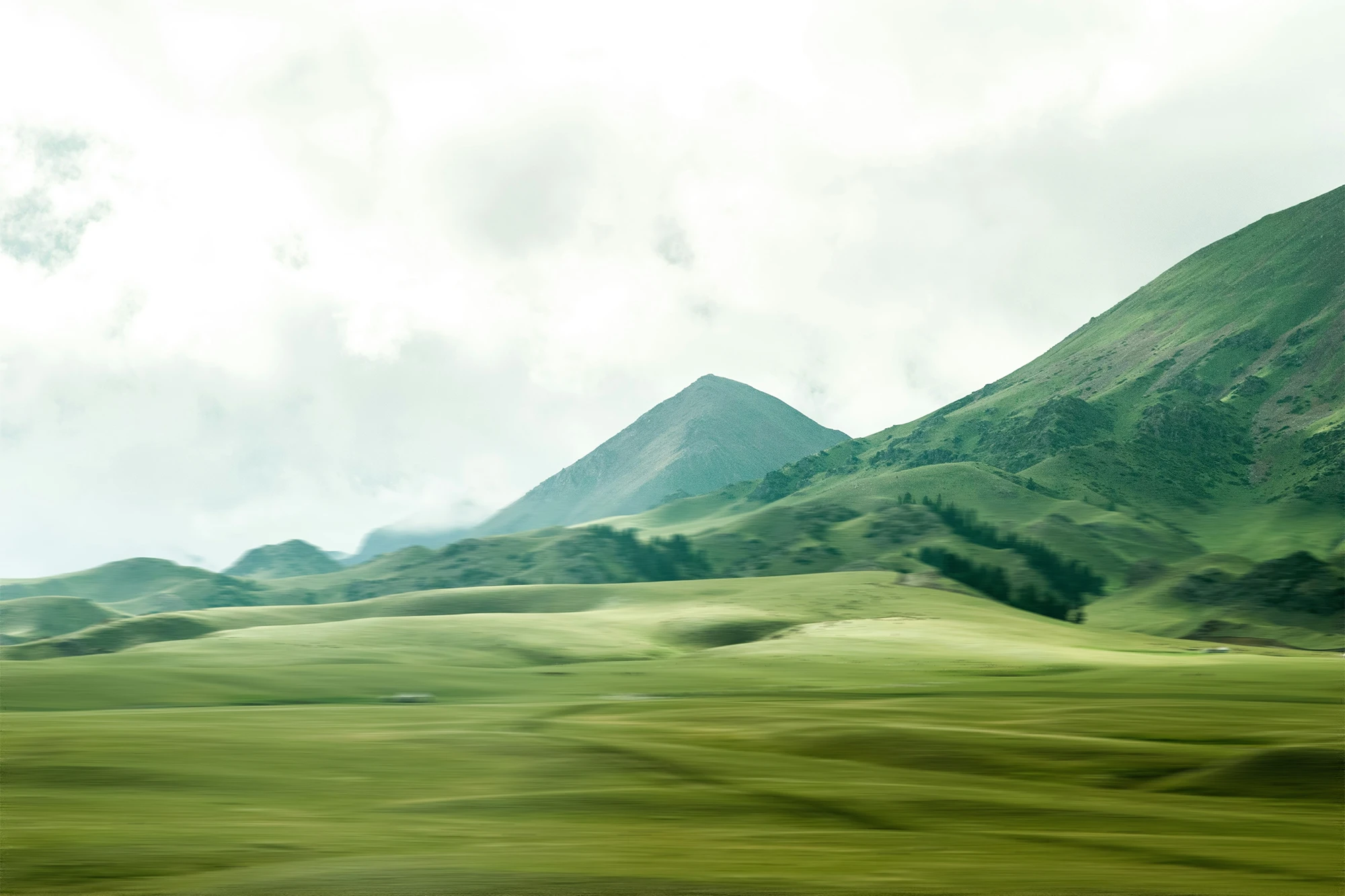 caf_nature_estilo_foto_1_1x.webp