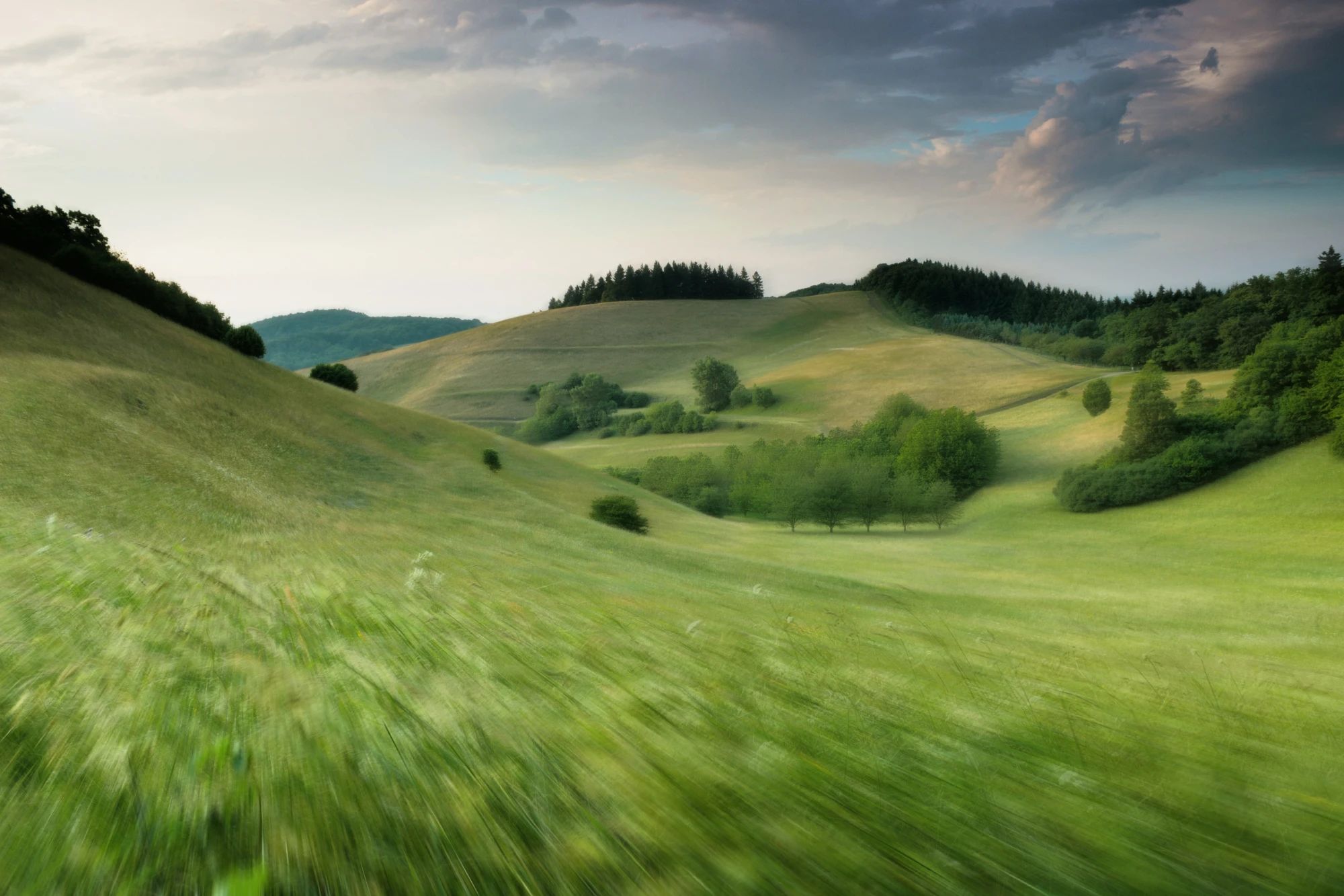 caf_nature_estilo_foto_3_1x.webp